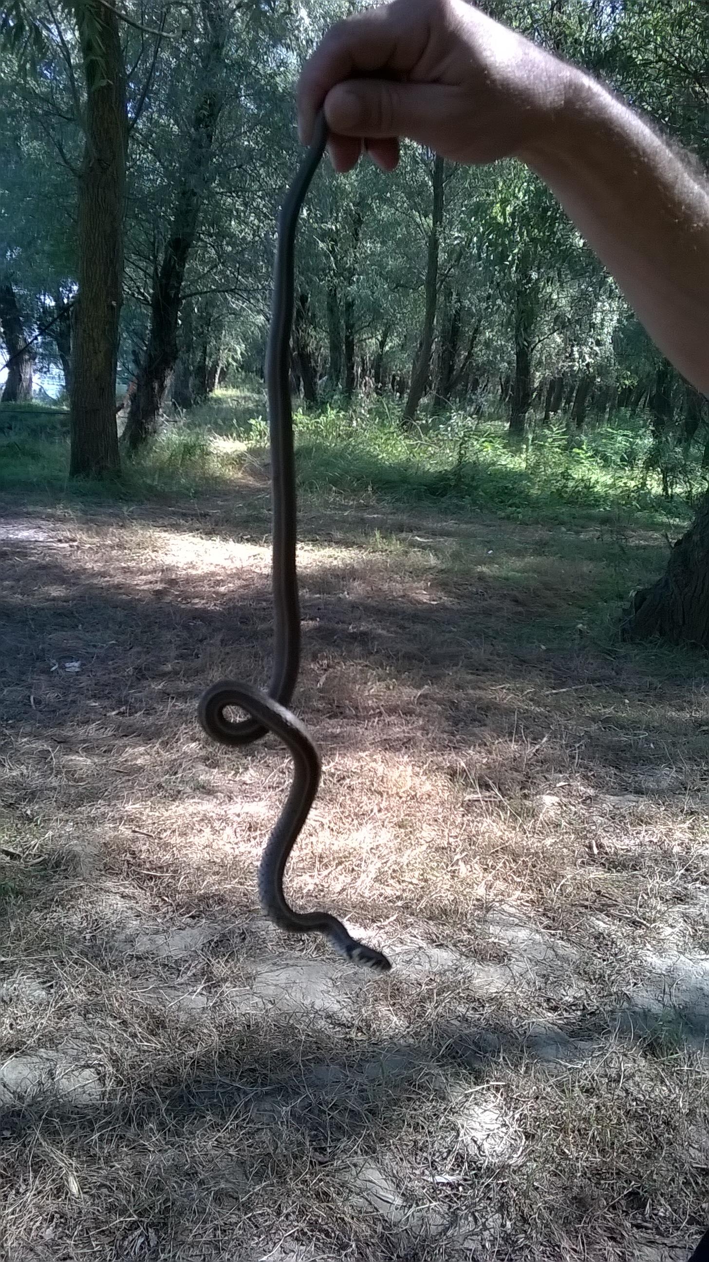 delta - wp20151004120128pro.jpg